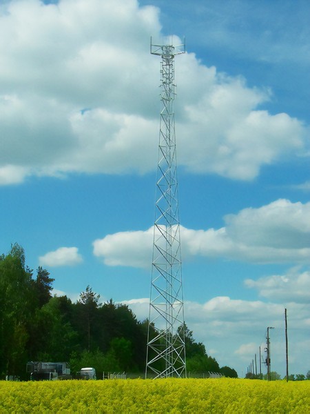 Miniatura zdjęcia